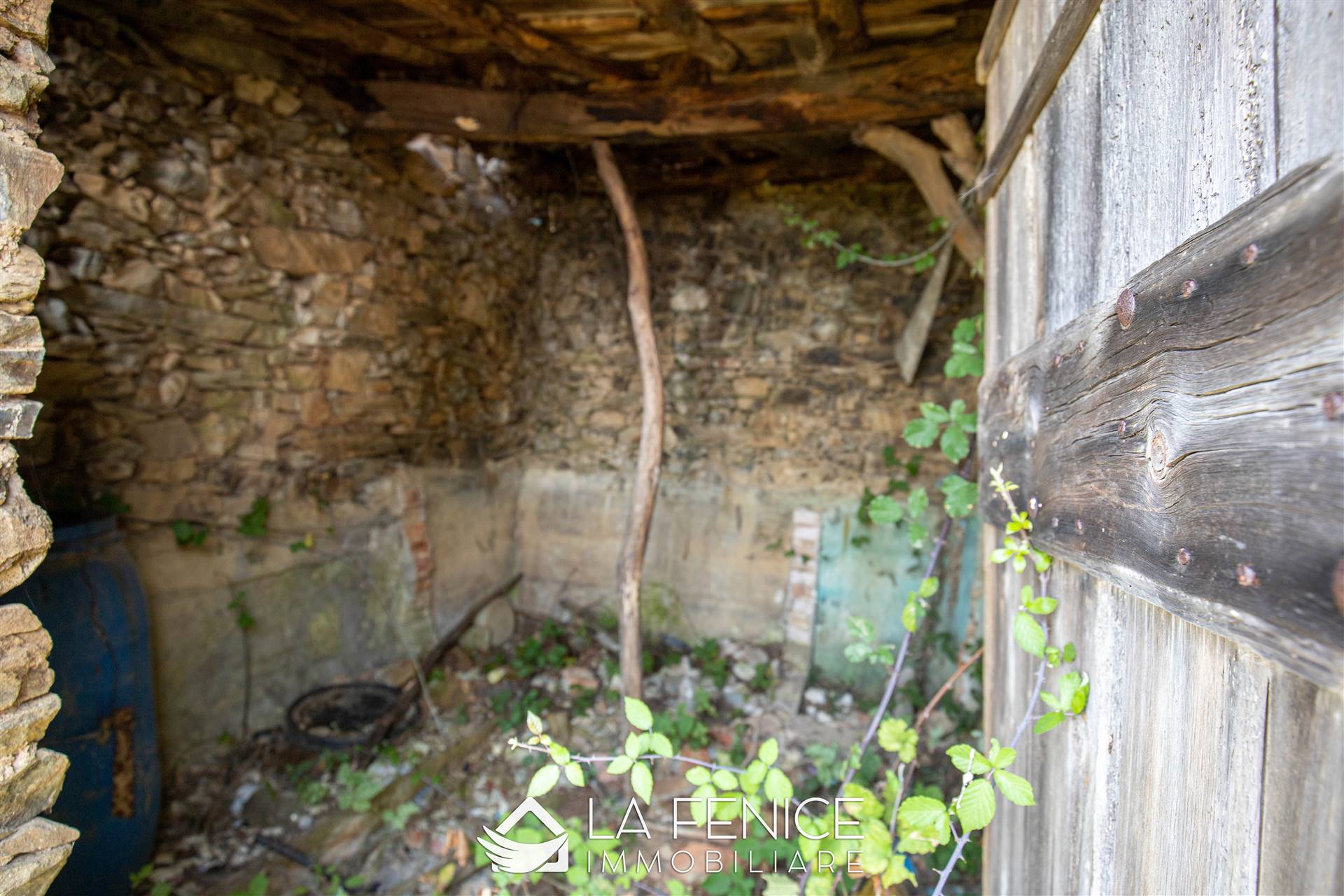 Rustico casale a Riomaggiore con 1 locali di 15 m2 - Foto