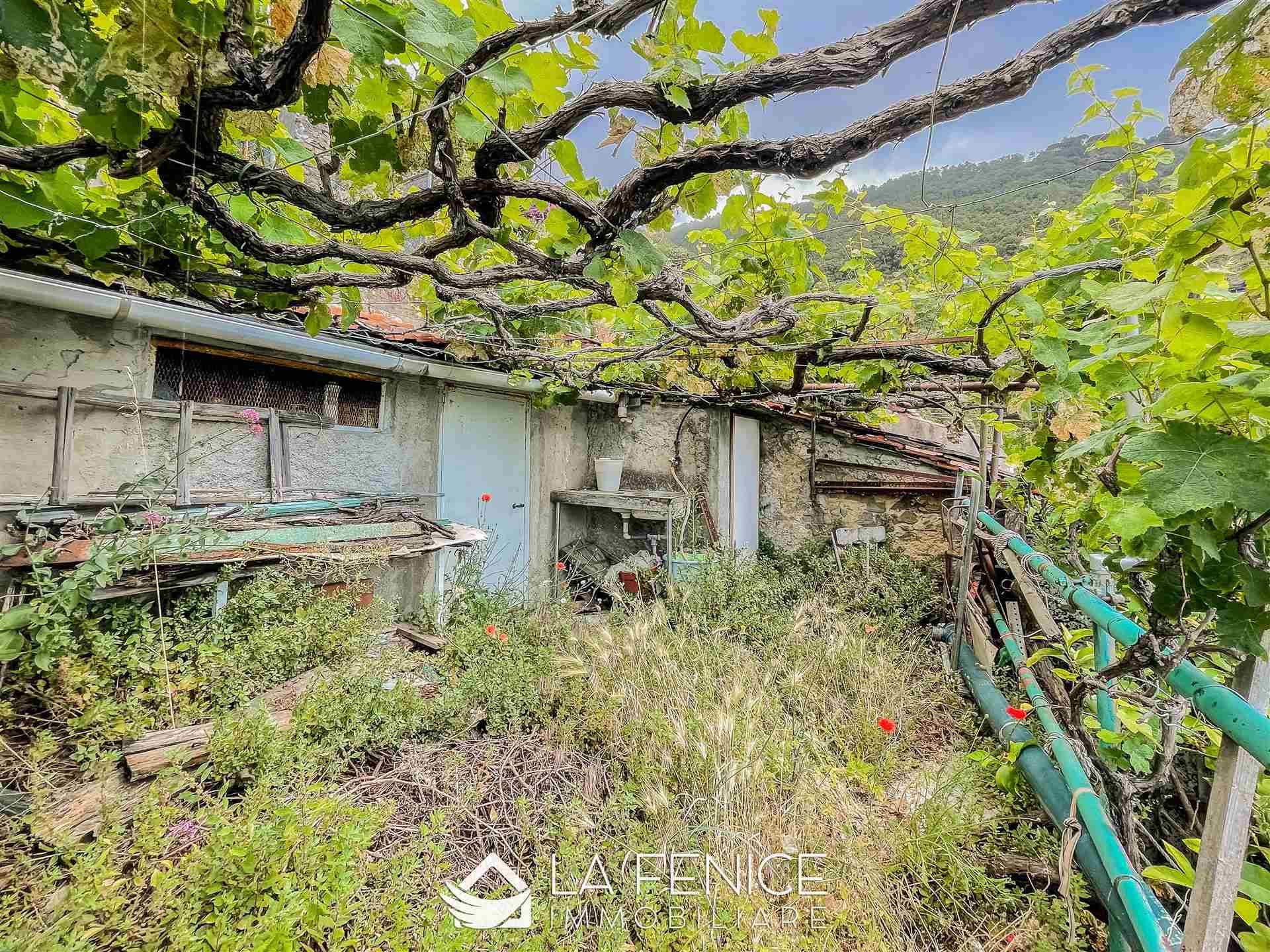 Rustico casale a Riomaggiore con 3 locali di 63 m2 - Foto