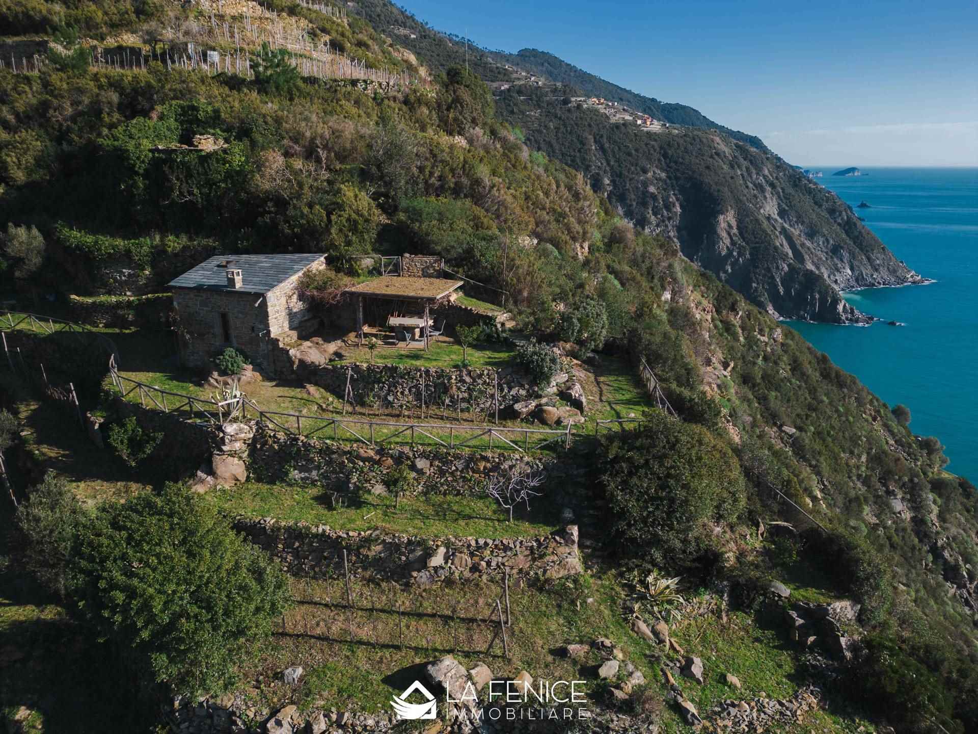 Rustico casale a Riomaggiore con 2 locali di 41 m2 - Foto