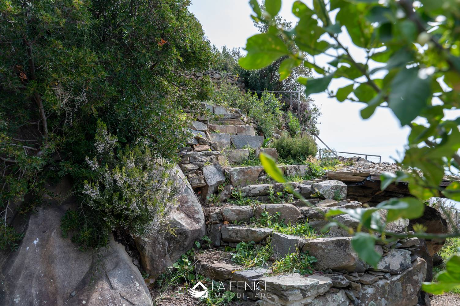 Rustico casale a Riomaggiore con 1 locali di 20 m2 - Foto