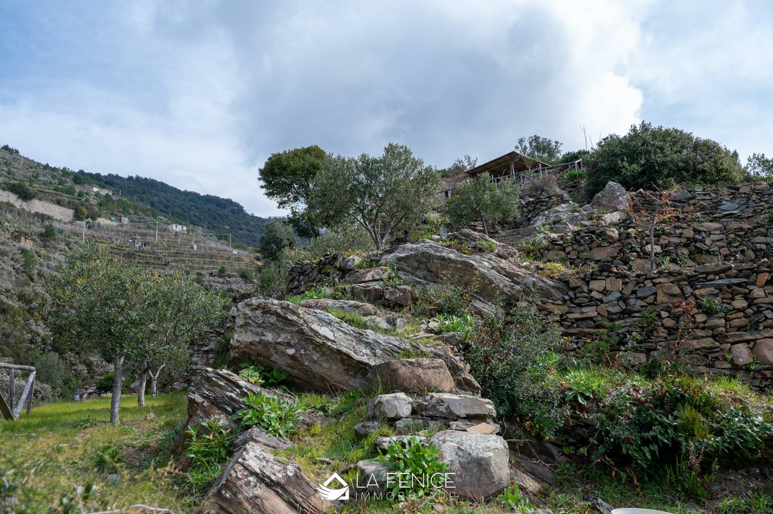 Rustico casale a Riomaggiore con 1 locali di 20 m2 - Foto