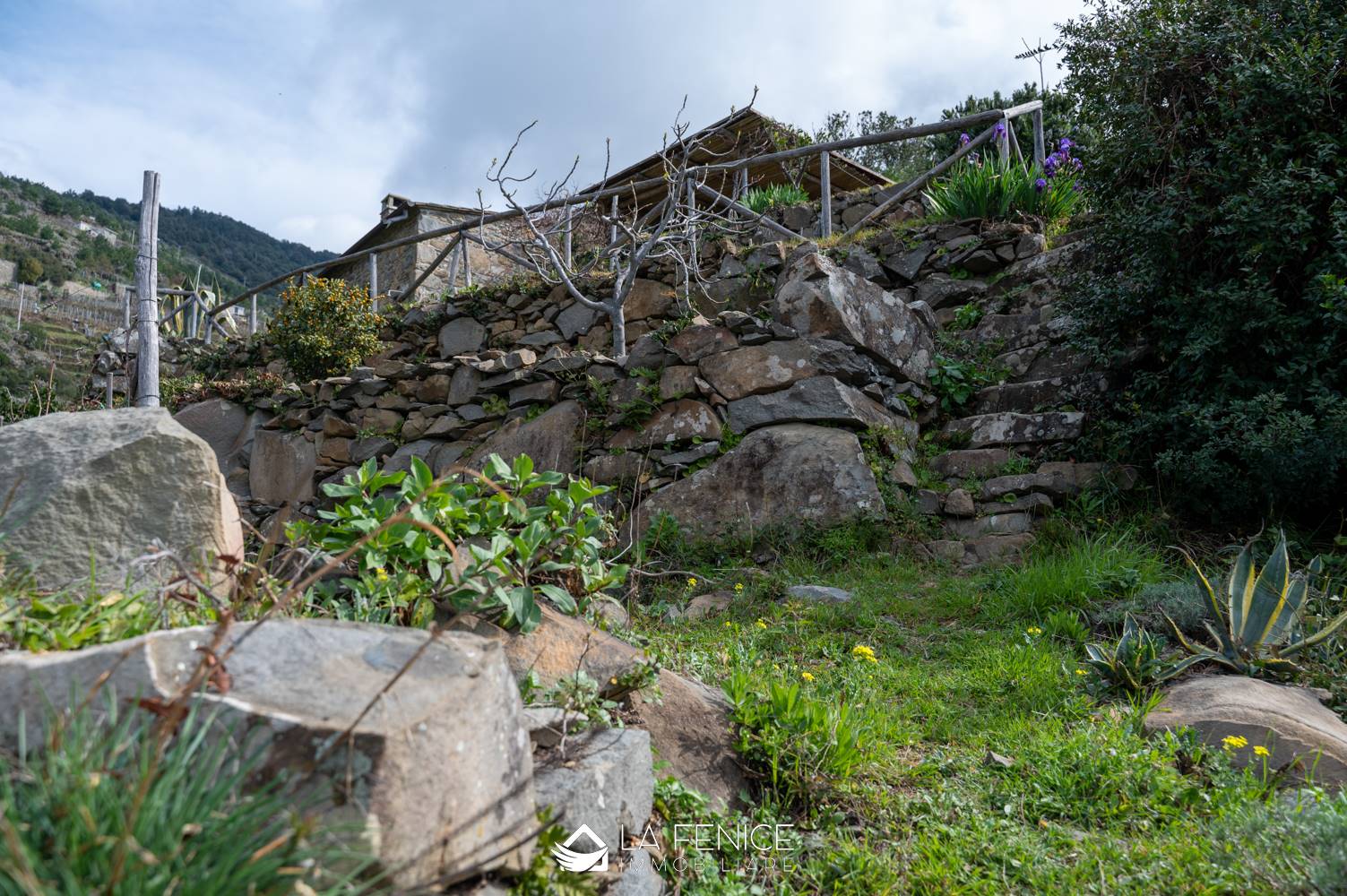 Rustico casale a Riomaggiore con 1 locali di 20 m2 - Foto