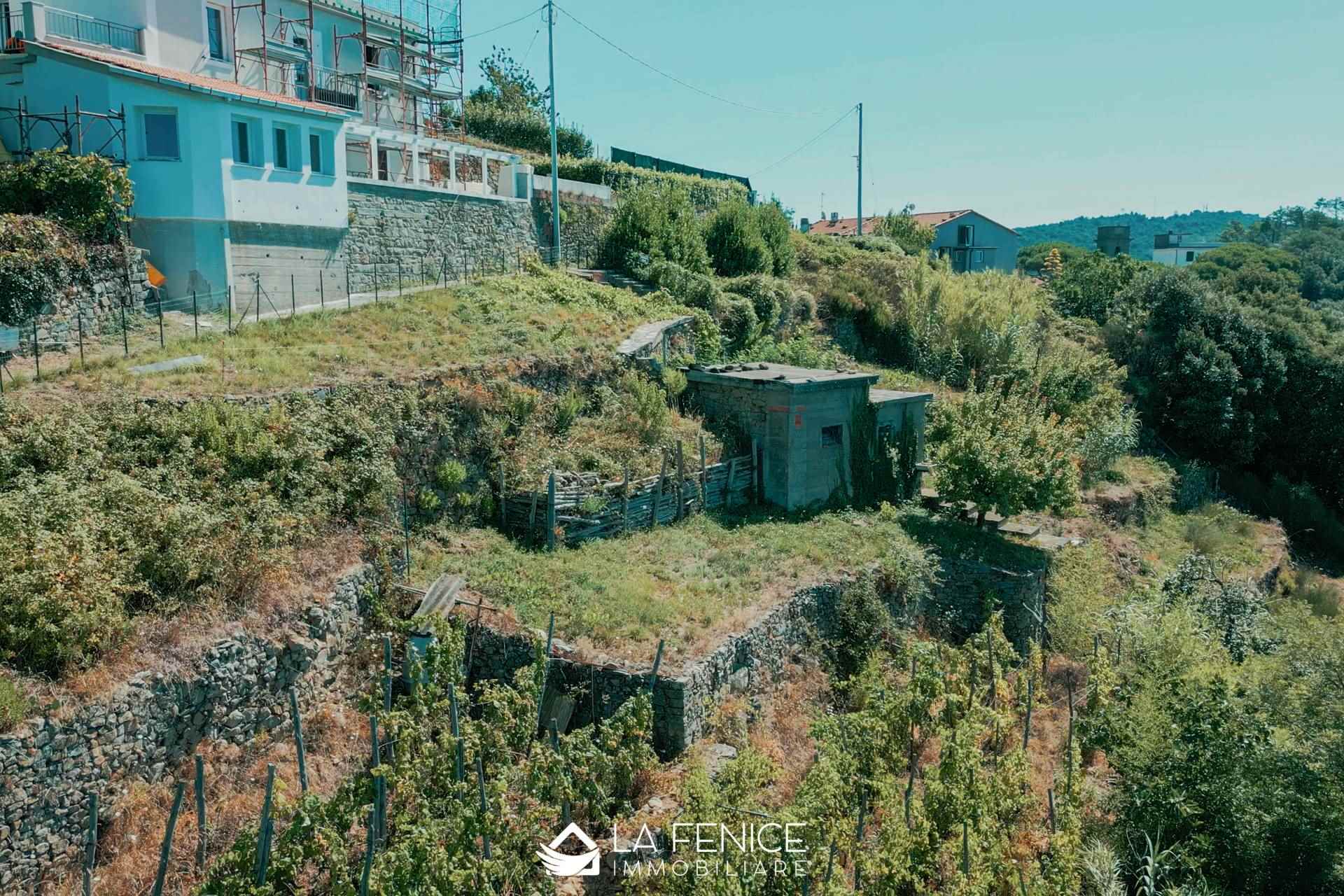 Rustico casale a Riomaggiore con 3 locali di 40 m2 - RUSTICO