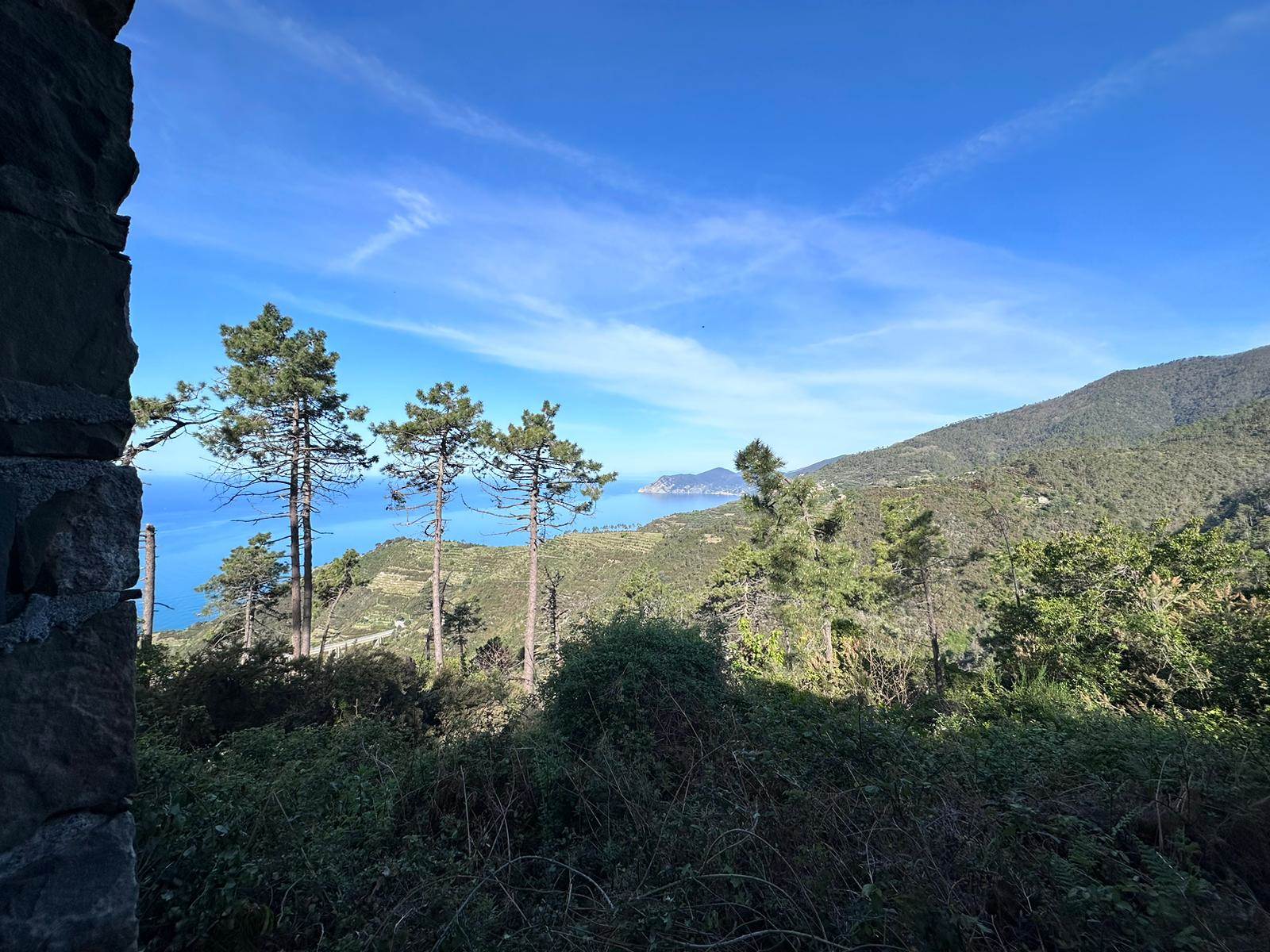 Rustico casale a Riomaggiore con 2 locali di 51 m2 - Foto