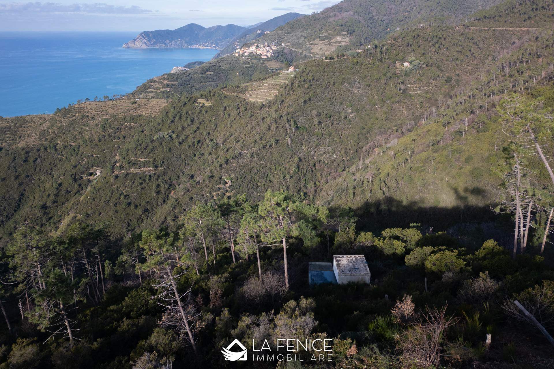 Rustico casale a Riomaggiore con 2 locali di 51 m2 - VISTA