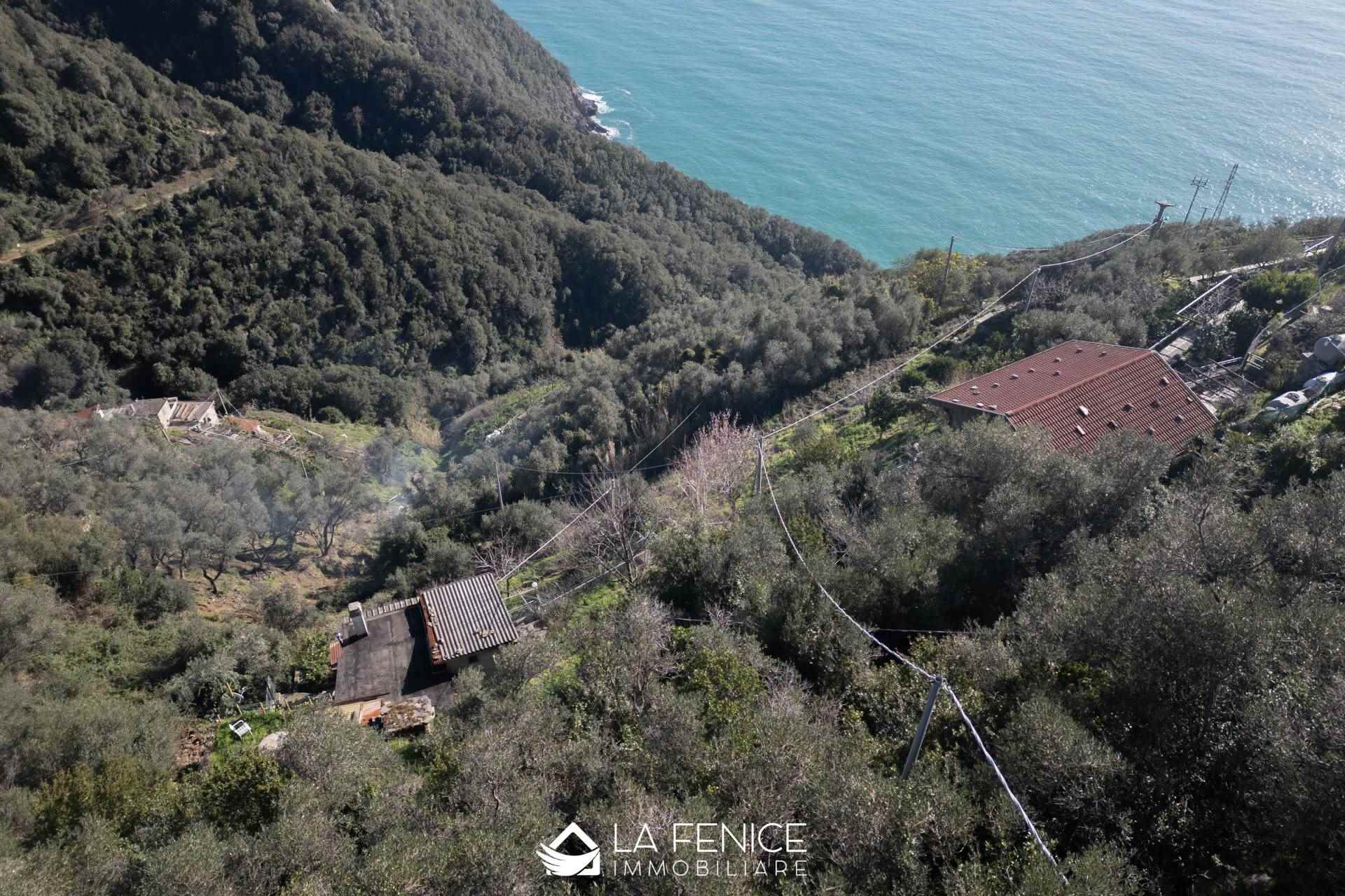 Rustico casale a Monterosso al mare con 4 locali di 61 m2 - 23