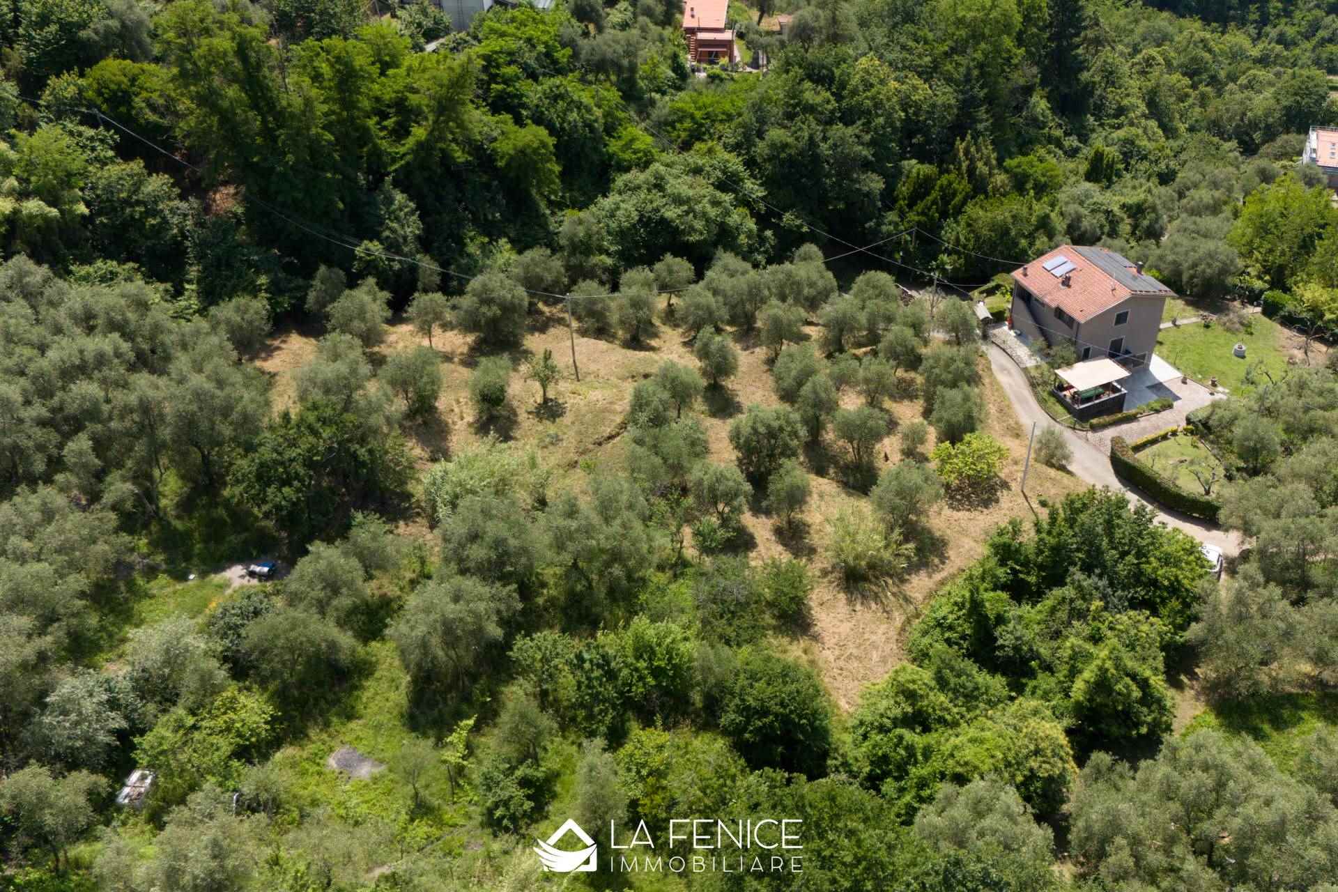 Terreno edificabile a Vezzano ligure con 3 locali di 96 m2 - Foto