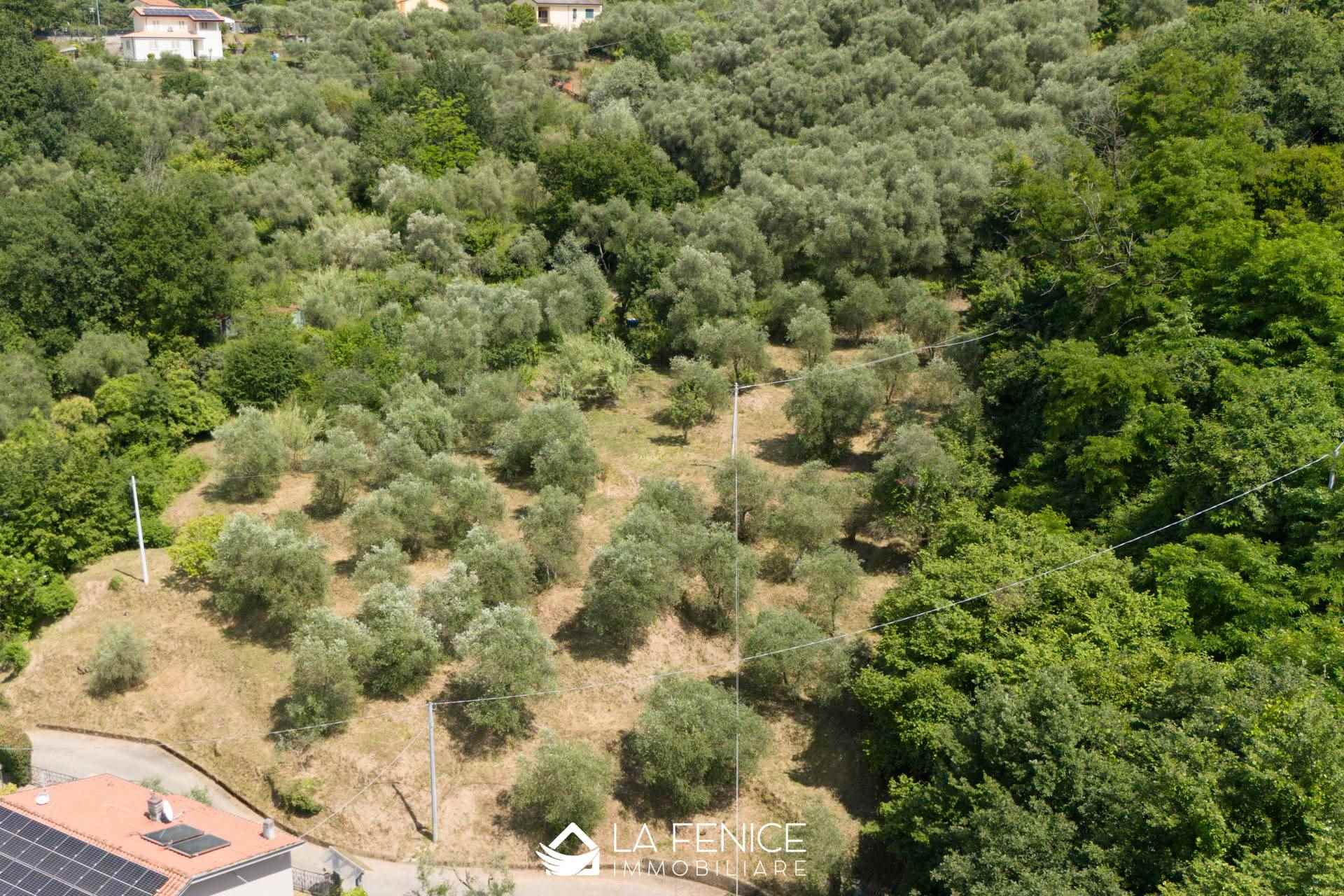 Terreno edificabile a Vezzano ligure con 3 locali di 96 m2 - Foto