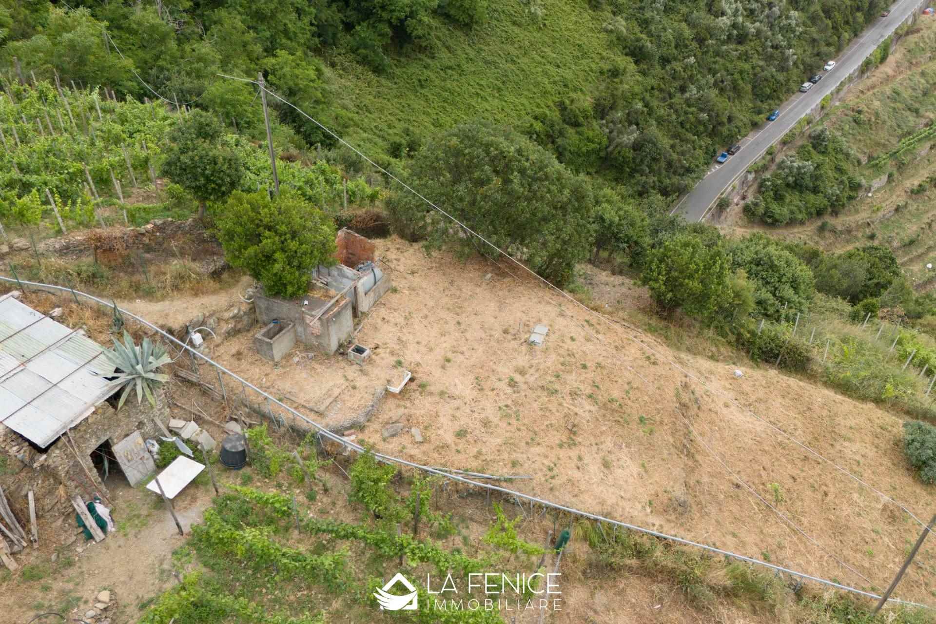 Rustico casale a Monterosso al mare con 1 locali di 25 m2 - Foto