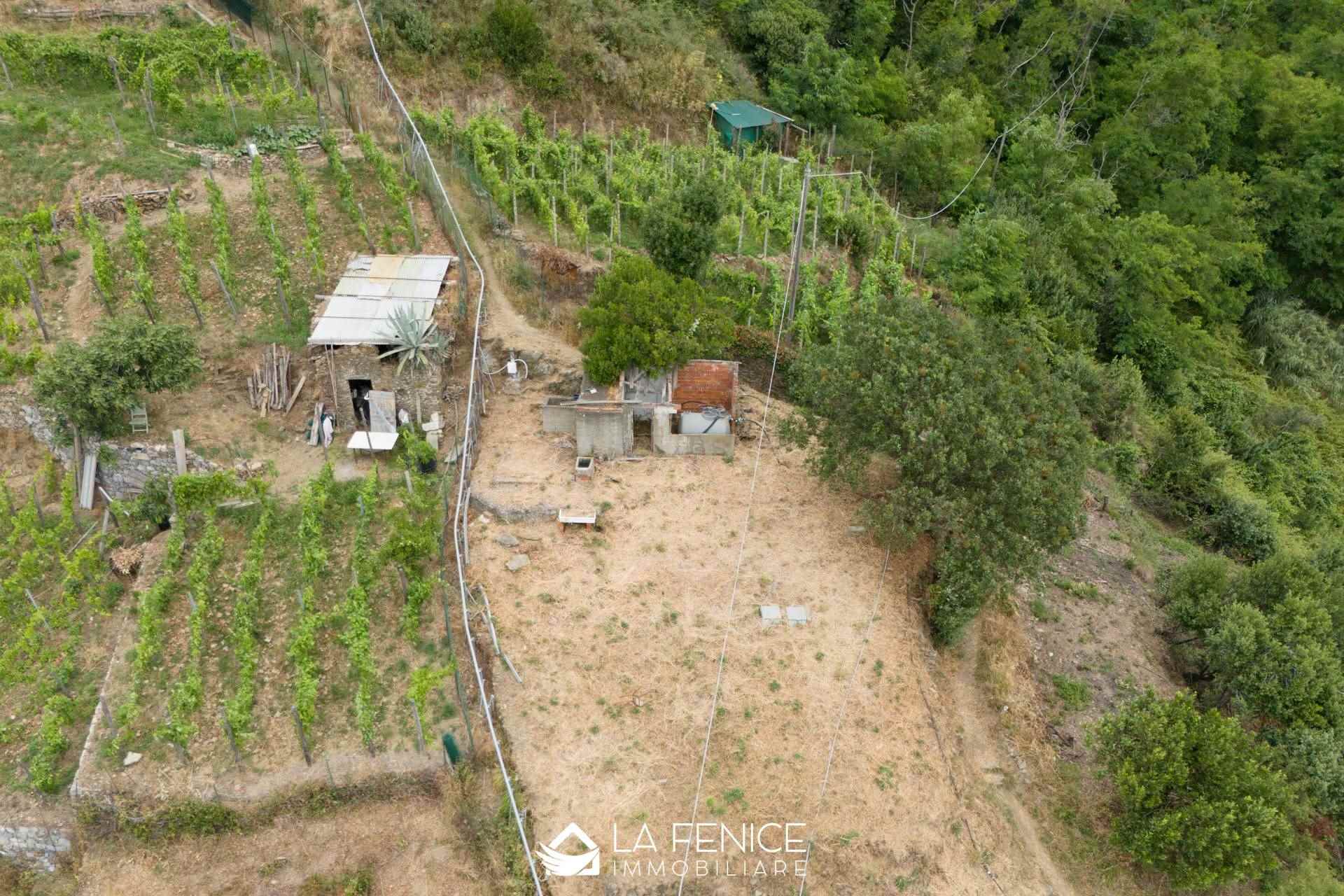 Rustico casale a Monterosso al mare con 1 locali di 25 m2 - Foto