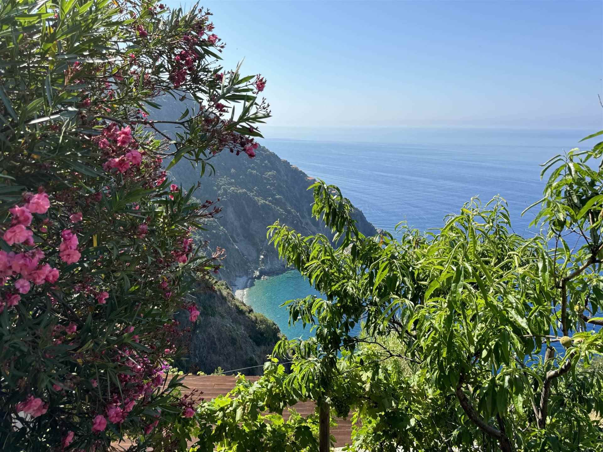 Rustico casale a Riomaggiore con 2 locali di 76 m2 - Foto