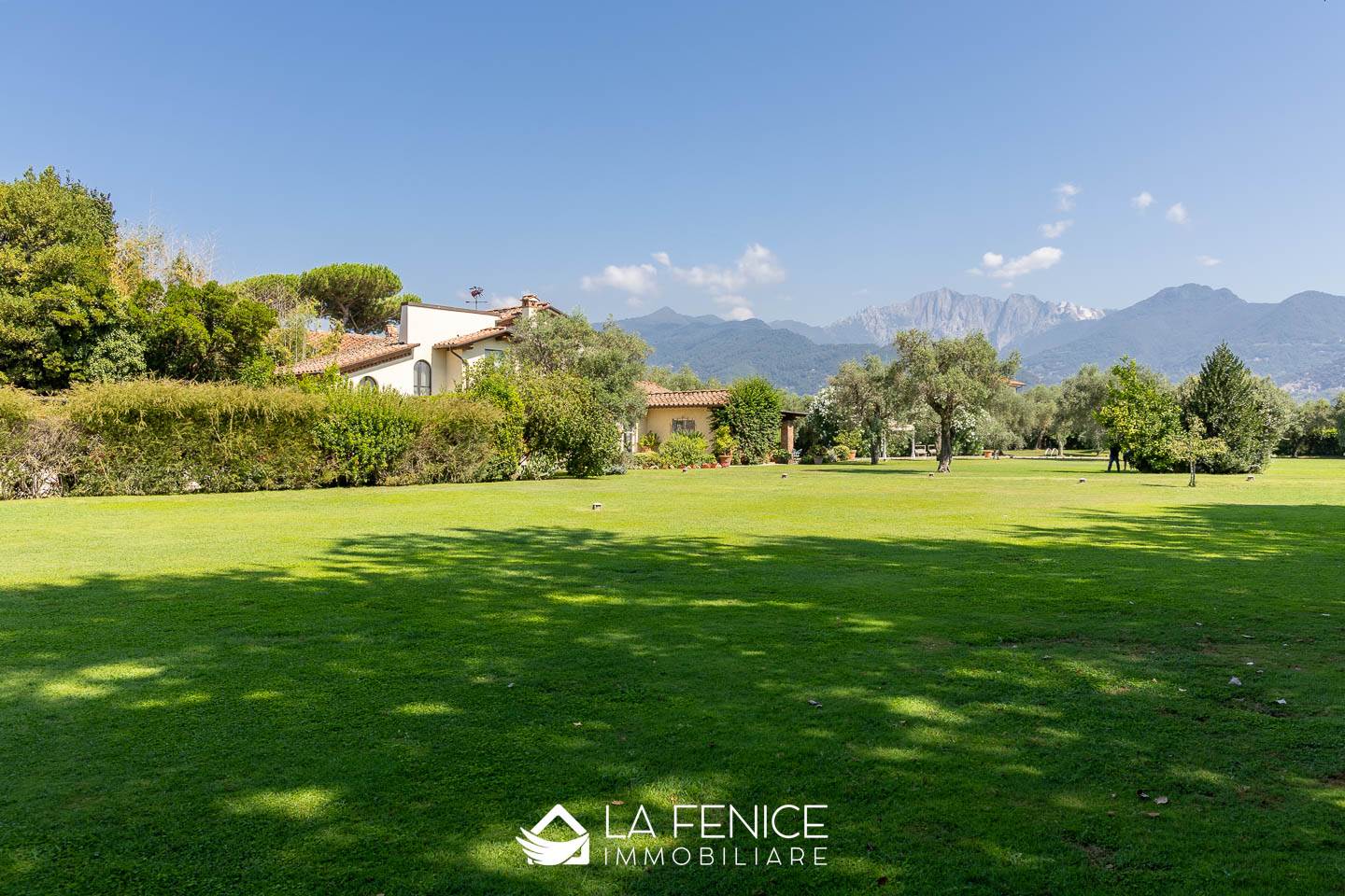 Villa a Forte dei marmi con 10 locali di 300 m2 - Foto