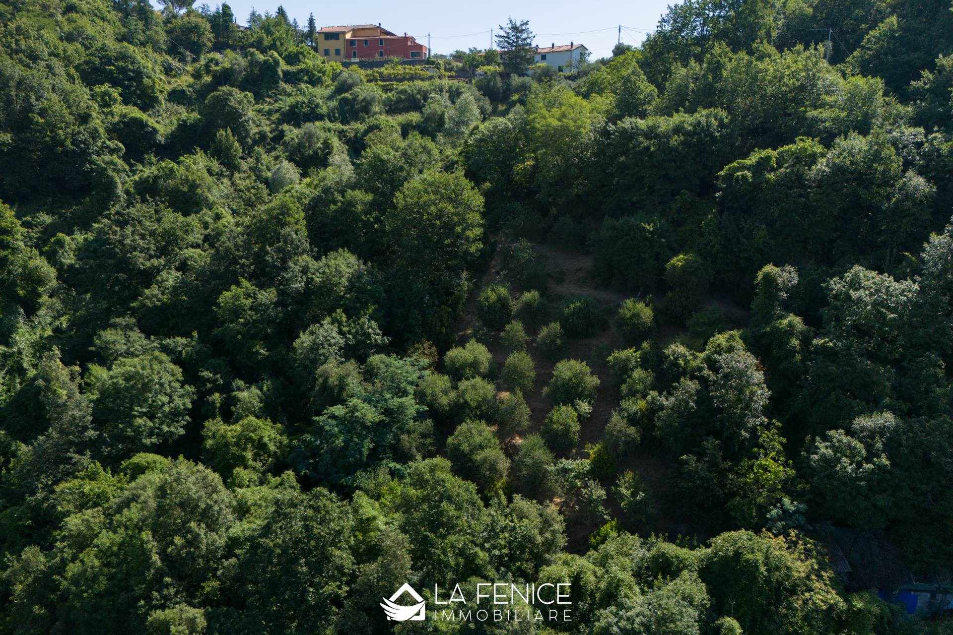 Villa bifamiliare a La spezia con 4 locali di 120 m2 - Foto